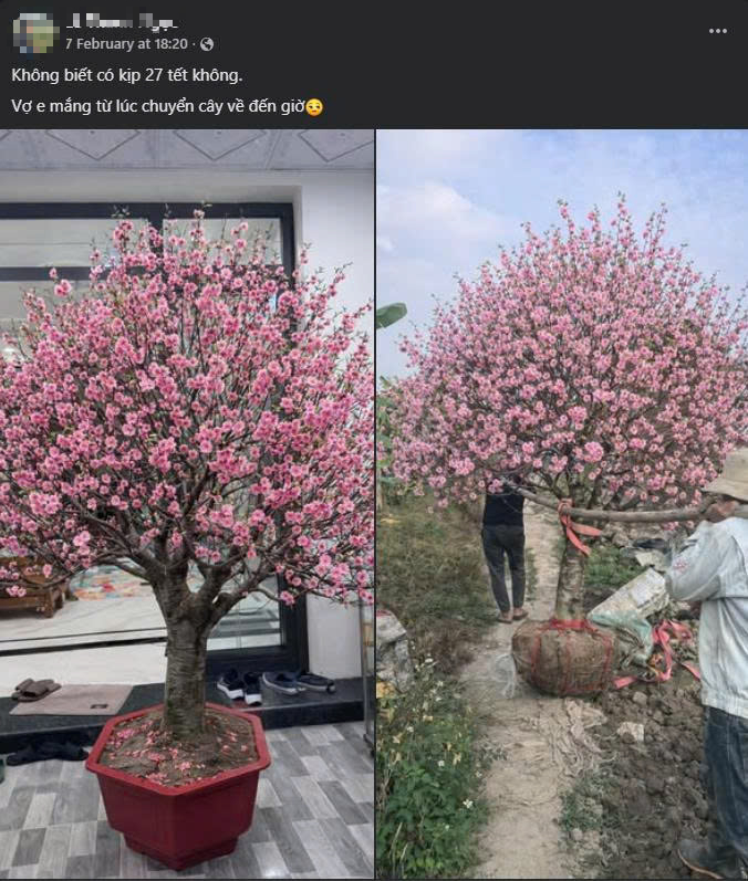 Bi h&agrave;i chuyện chơi đ&agrave;o Tết khiến 1 người rơi lệ, vạn người x&ocirc;n xao- Ảnh 1.