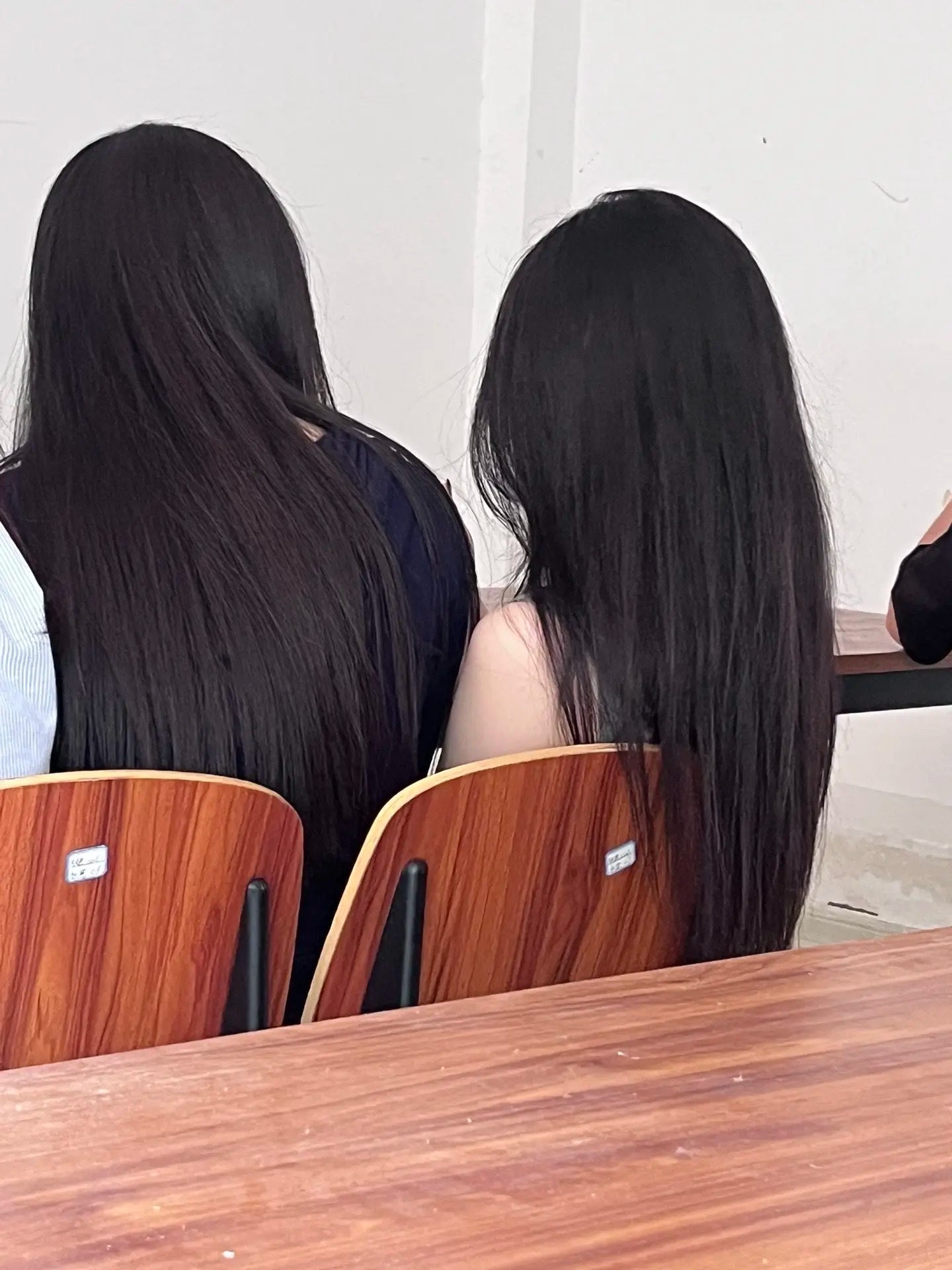 B&oacute;ng lưng hai nữ sinh g&acirc;y sốt- Ảnh 1.