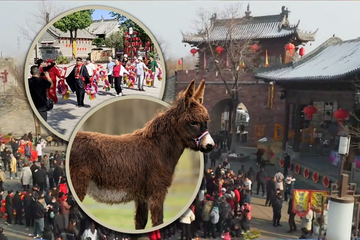 Ng&ocirc;i l&agrave;ng cổ 600 năm tuổi tại Trung Quốc đổi đời nhờ đ&oacute;ng phim: Cả người v&agrave; vật nu&ocirc;i đều th&agrave;nh diễn vi&ecirc;n- Ảnh 2.