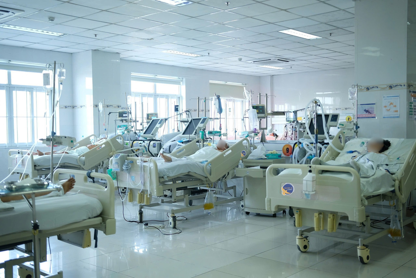 Nhiều người xuất huyết n&atilde;o nguy kịch, b&aacute;c sĩ cảnh b&aacute;o đột quỵ m&ugrave;a Tết- Ảnh 1.