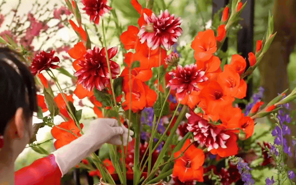 "Ph&uacute; b&agrave; Long Bi&ecirc;n" tiết lộ 3 lo&agrave;i hoa cổ truyền khai lộc, đ&oacute;n may, sung t&uacute;c đủ đầy n&ecirc;n chưng b&agrave;n thờ ng&agrave;y Tết- Ảnh 4.