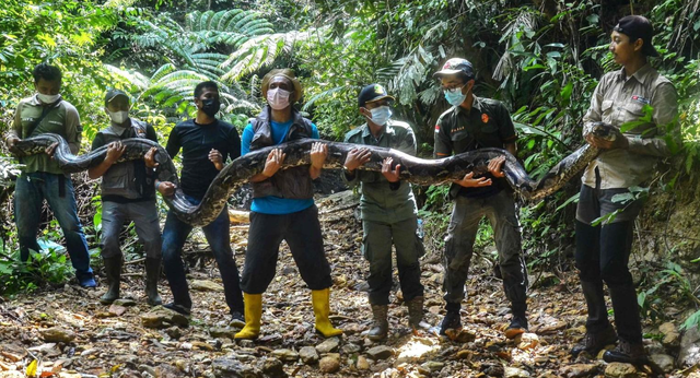 V&ocirc; t&igrave;nh bắt được 