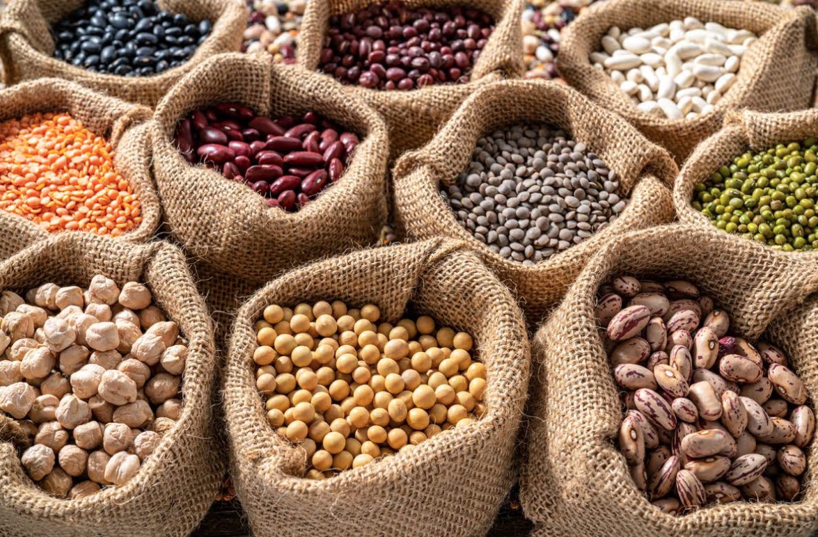 Chuy&ecirc;n gia tuổi thọ n&oacute;i thẳng: Kh&ocirc;ng phải rau, đ&acirc;y mới l&agrave; nền tảng của mọi chế độ ăn sống thọ- Ảnh 2.