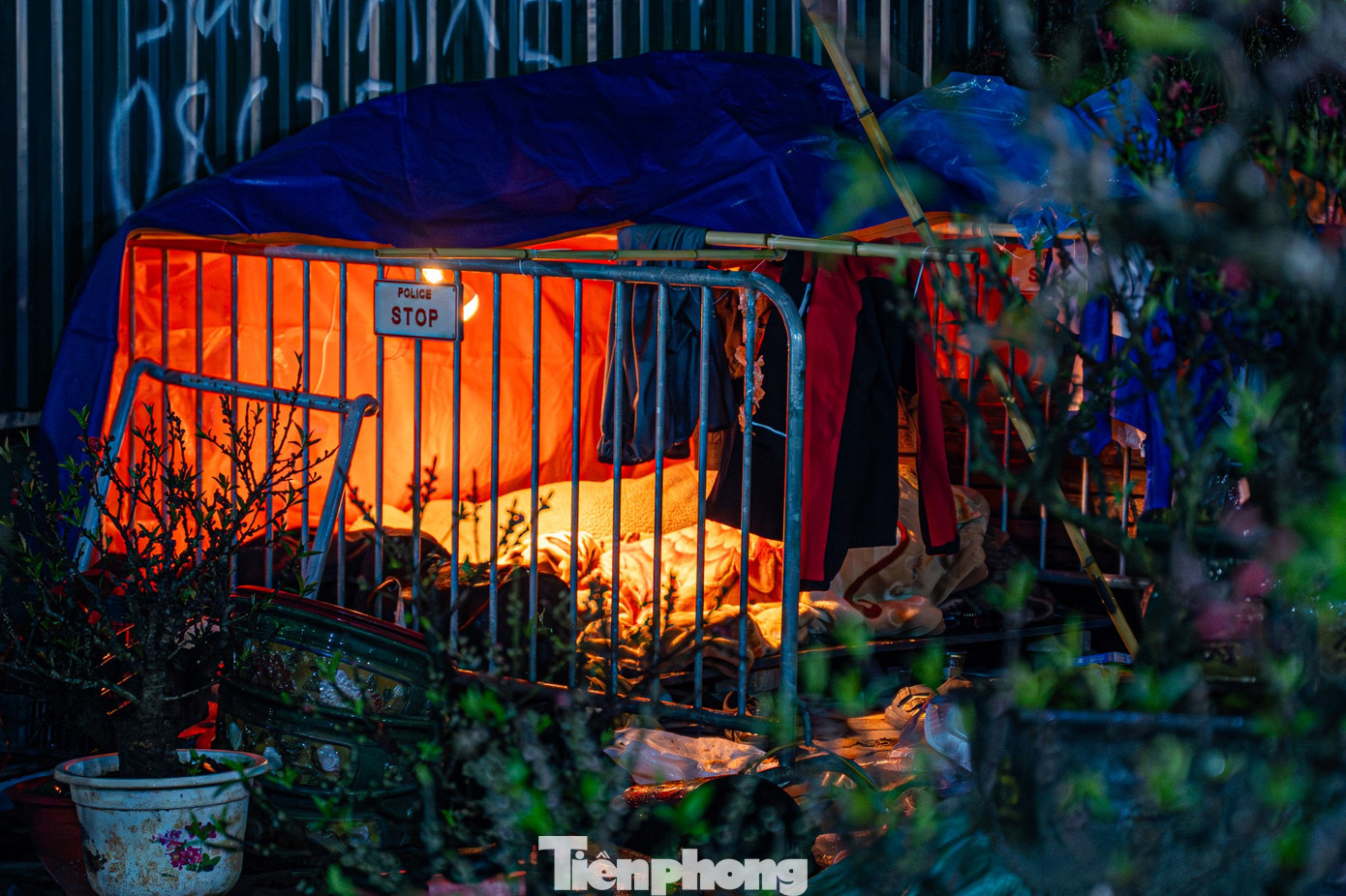 H&agrave; Nội mưa r&eacute;t thấu xương, tiểu thương trắng đ&ecirc;m tr&ocirc;ng đ&agrave;o quất- Ảnh 12.