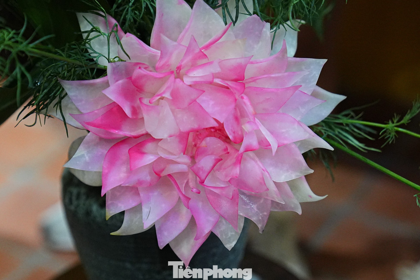 Kh&aacute;ch T&acirc;y th&iacute;ch th&uacute; m&acirc;m cỗ c&uacute;ng &ocirc;ng C&ocirc;ng &ocirc;ng T&aacute;o 'chuẩn vị' H&agrave; th&agrave;nh- Ảnh 20.