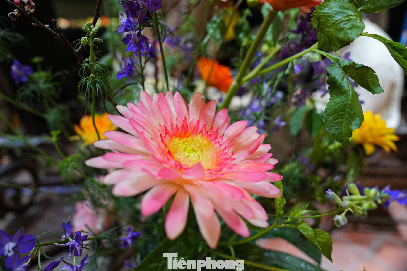 Kh&aacute;ch T&acirc;y th&iacute;ch th&uacute; m&acirc;m cỗ c&uacute;ng &ocirc;ng C&ocirc;ng &ocirc;ng T&aacute;o 'chuẩn vị' H&agrave; th&agrave;nh- Ảnh 19.