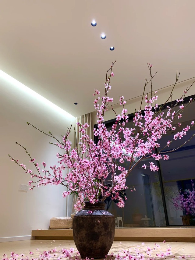 Vị tr&iacute; "đại kỵ" khi đặt c&acirc;y quất, c&agrave;nh đ&agrave;o ng&agrave;y Tết khiến t&agrave;i lộc đội n&oacute;n ra đi, gia chủ ngh&egrave;o đi tr&ocirc;ng thấy m&agrave; kh&ocirc;ng hiểu l&yacute; do- Ảnh 1.