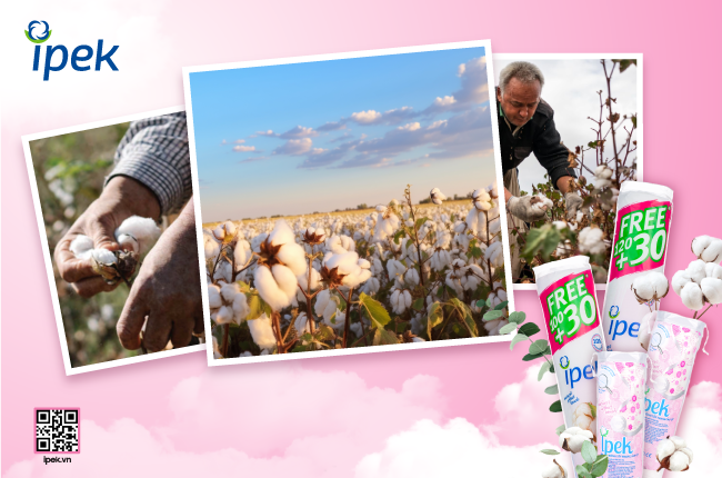 H&agrave;nh tr&igrave;nh 55 năm cho bước l&agrave;m sạch ti&ecirc;u chuẩn ch&acirc;u &Acirc;u của thương hiệu b&ocirc;ng tẩy trang Ipek- Ảnh 1.