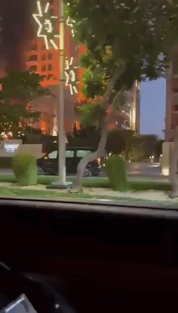 Khách sạn nổi tiếng ở Dubai bị đánh giá 1 sao vì trúng tên lửa của Iran, bình luận của netizen gây chú ý- Ảnh 1. Khách sạn nổi tiếng ở Dubai bị đánh giá 1 sao vì trúng tên lửa của Iran, bình luận của netizen gây chú ý- Ảnh 1.