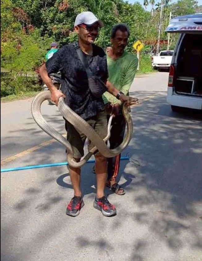 Nghe tiếng động lạ dưới gầm giường, chủ nh&agrave; 