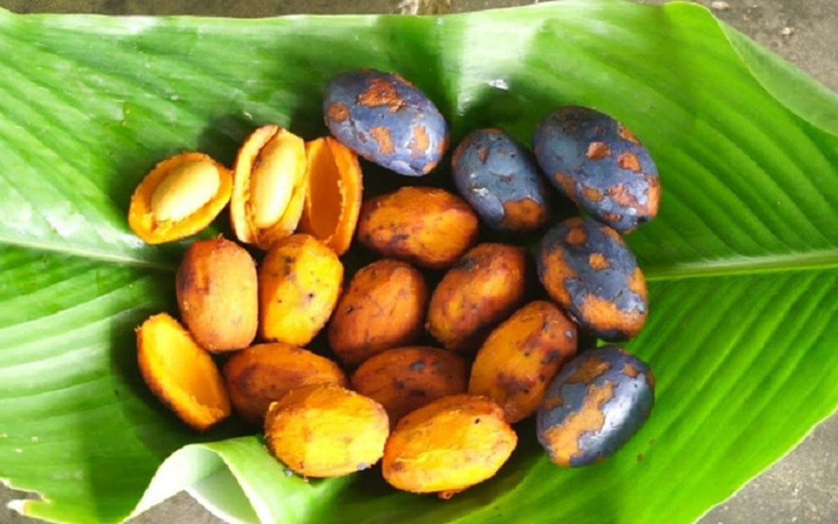 Loại quả xưa kh&ocirc;ng ai th&egrave;m nhặt, giờ th&agrave;nh đặc sản tốt như "thuốc qu&yacute;"- Ảnh 3.