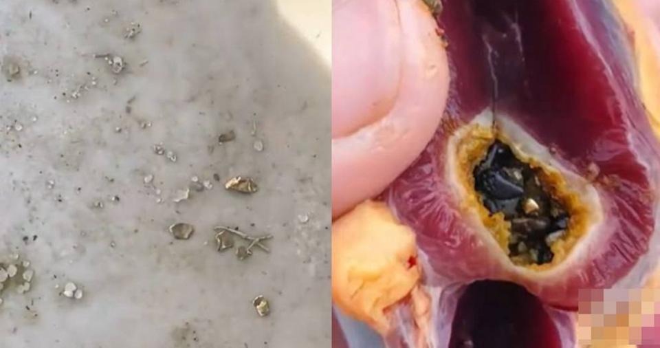 Mổ vịt ăn Tết, người đ&agrave;n &ocirc;ng sốc nặng khi thấy v&agrave;ng b&ecirc;n trong- Ảnh 1.