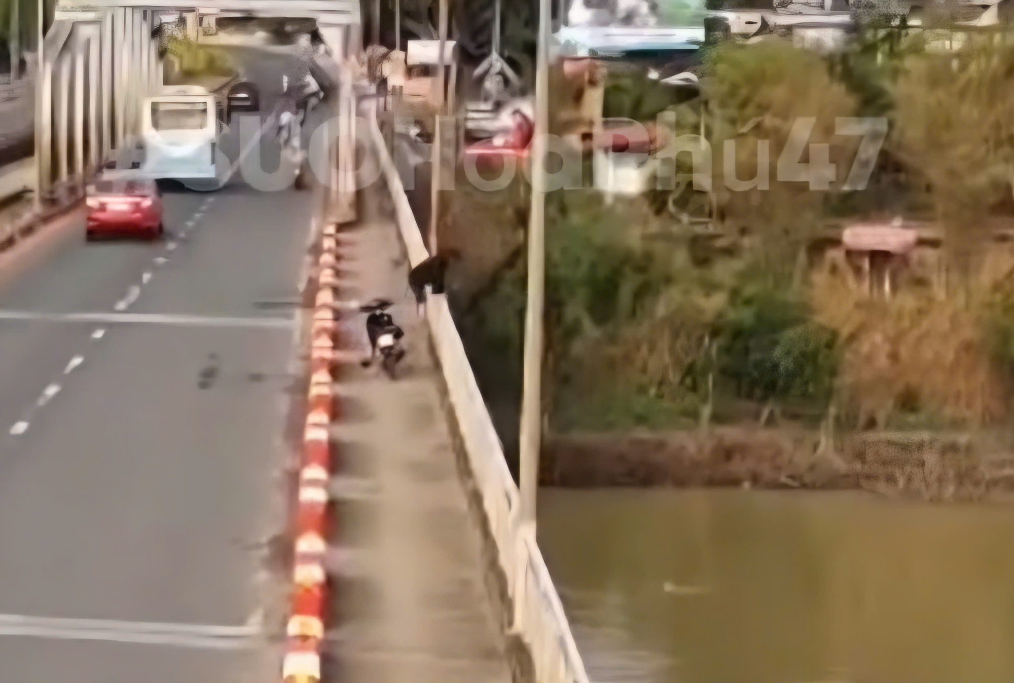 CLIP: Camera ghi lại cảnh nam thanh ni&ecirc;n nhảy s&ocirc;ng mất t&iacute;ch- Ảnh 1.