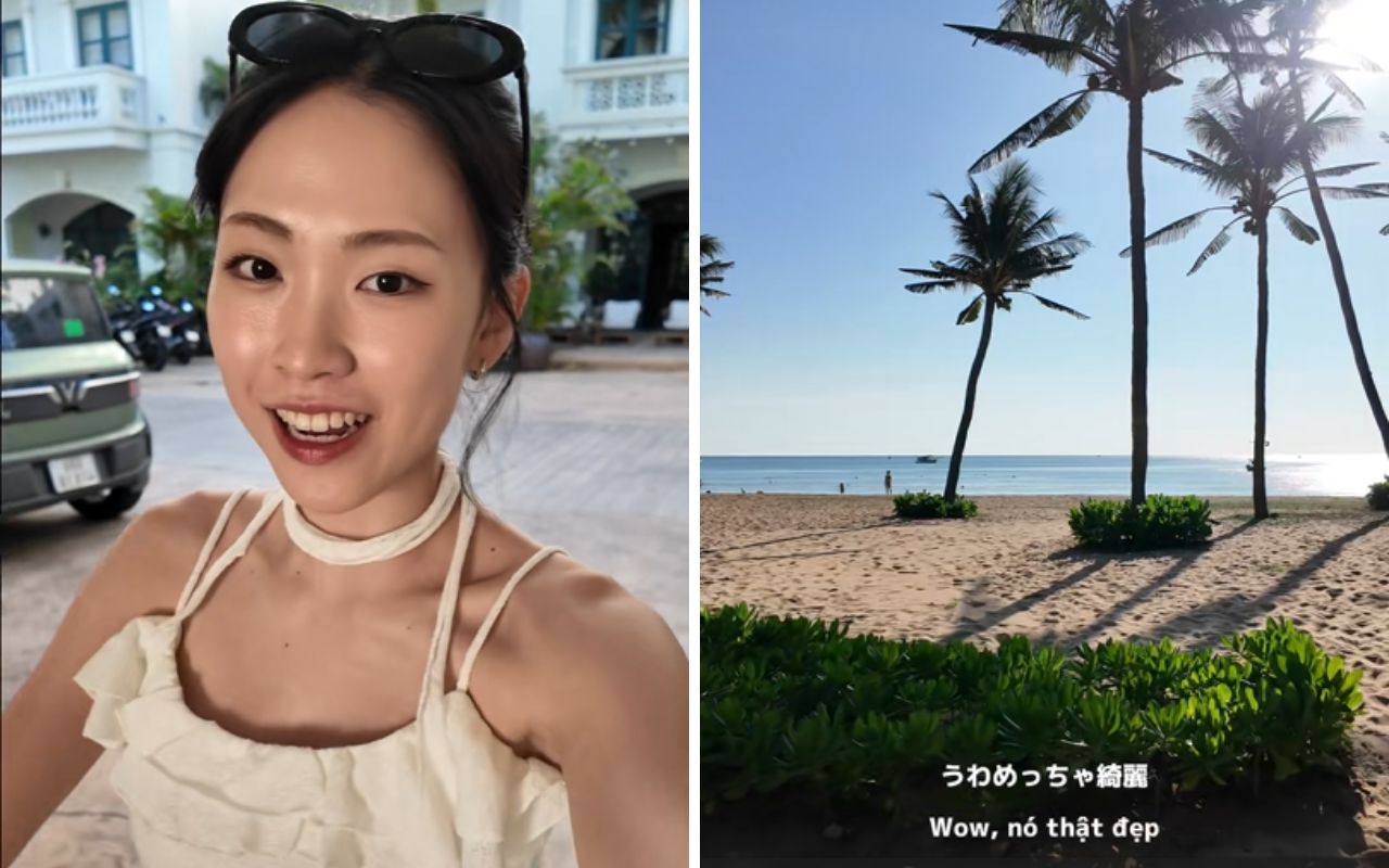 Người Nhật sở hữu 29.000km bờ biển nhưng vẫn nườm nượp sang Việt Nam t&igrave;m thứ qu&ecirc; nh&agrave; hiếm c&oacute;- Ảnh 3.