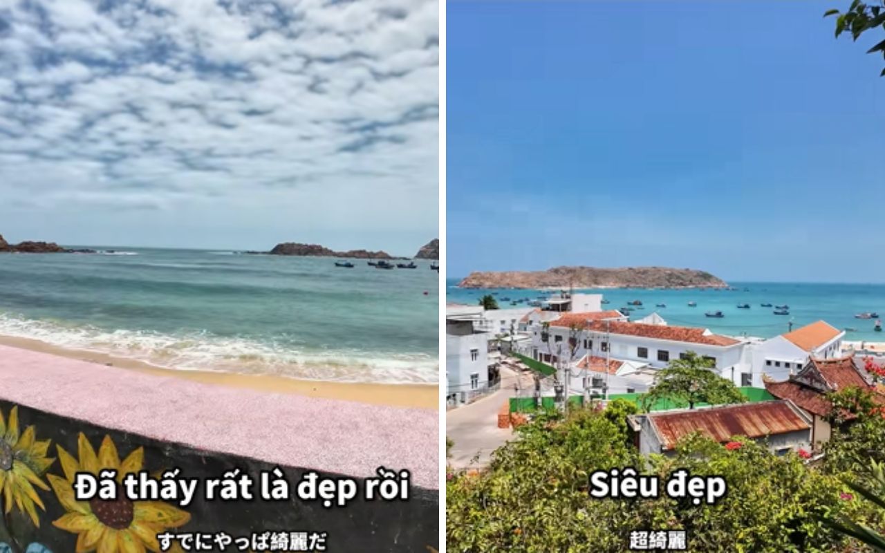 Người Nhật sở hữu 29.000km bờ biển nhưng vẫn nườm nượp sang Việt Nam t&igrave;m thứ qu&ecirc; nh&agrave; hiếm c&oacute;- Ảnh 4.