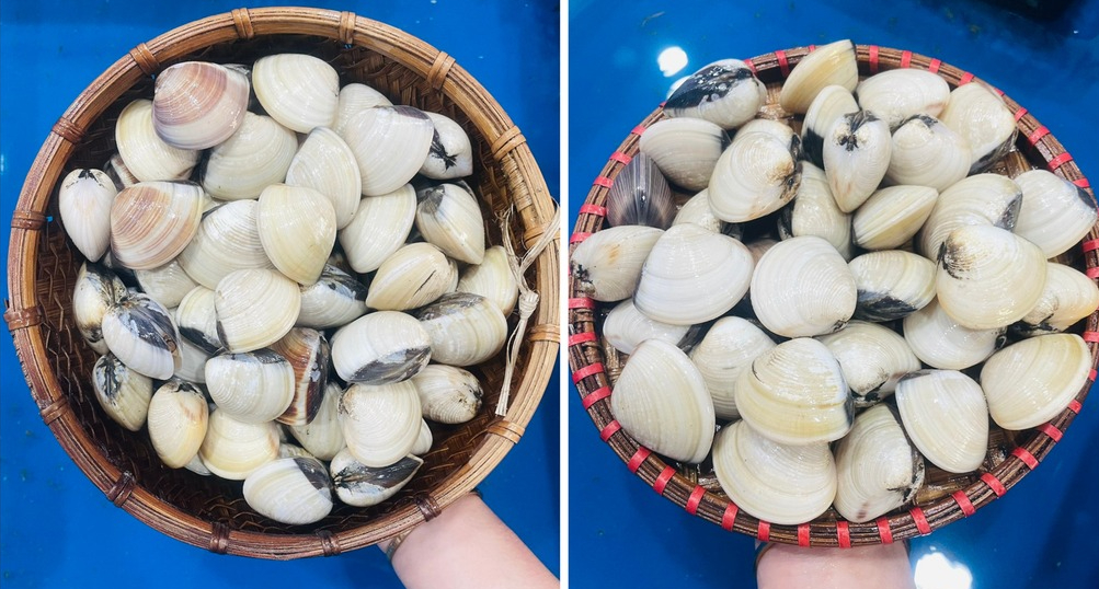 Mẹo "v&agrave;ng" ph&acirc;n biệt ngao v&agrave; ngh&ecirc;u, đ&atilde; biết l&agrave; kh&ocirc;ng bao giờ mua nhầm- Ảnh 2.