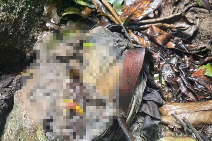 Ph&aacute;t hiện bộ xương người ở b&igrave;a rừng- Ảnh 1.