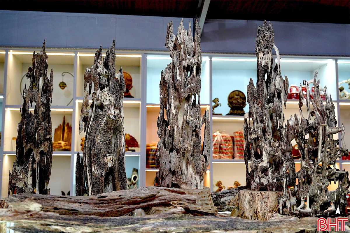 Cụ &ocirc;ng 98 tuổi biến khối gỗ mục l&agrave;m củi th&agrave;nh "v&agrave;ng", kiếm 200 tỷ mỗi năm cho v&ugrave;ng rốn lũ miền Trung- Ảnh 5.