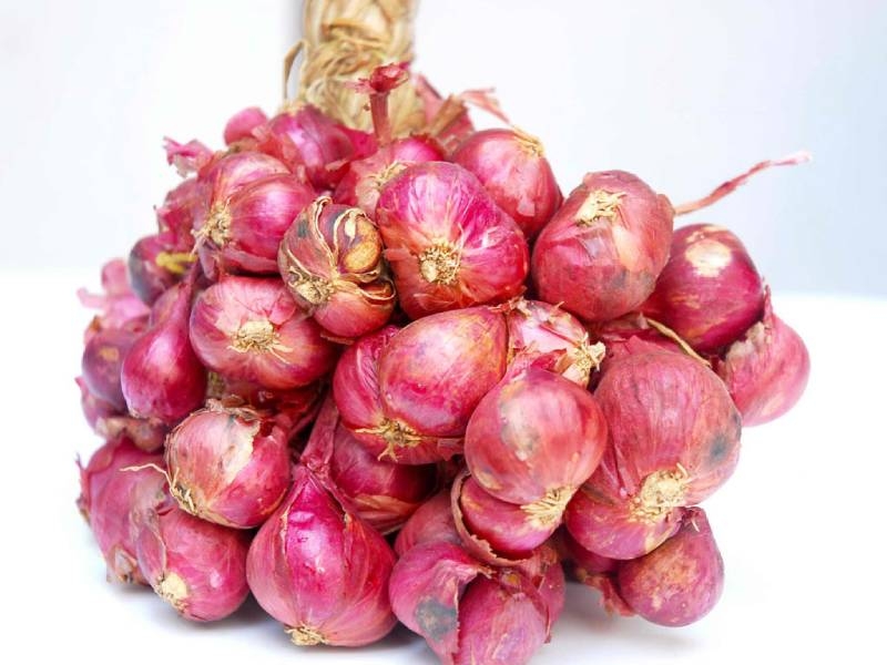 Mẹo bảo quản h&agrave;nh t&iacute;m, tỏi kh&ocirc; để cả năm vẫn thơm ngon- Ảnh 2.