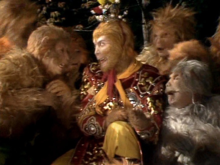 Sao nh&iacute; v&agrave;o vai khỉ 