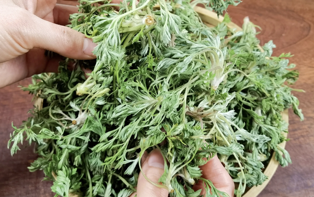 Bắt được "b&aacute;u vật" m&ugrave;a xu&acirc;n mọc đầy rải r&aacute;c: Đem l&agrave;m m&oacute;n hấp ngọt mềm tơi xốp, nh&agrave; nội nh&agrave; ngoại gắp kh&ocirc;ng ngừng đũa- Ảnh 4.