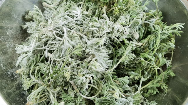 Bắt được "b&aacute;u vật" m&ugrave;a xu&acirc;n mọc đầy rải r&aacute;c: Đem l&agrave;m m&oacute;n hấp ngọt mềm tơi xốp, nh&agrave; nội nh&agrave; ngoại gắp kh&ocirc;ng ngừng đũa- Ảnh 3.