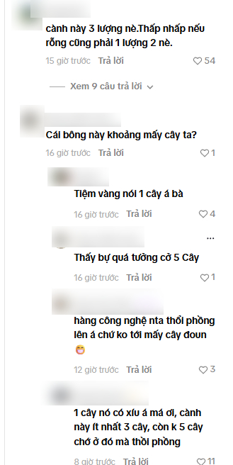 "Ph&uacute; b&agrave; showbiz" khoe được tặng hoa hồng bằng v&agrave;ng 9999, netizen thi nhau đo&aacute;n gi&aacute;- Ảnh 3.