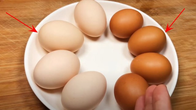 Trứng vỏ trắng hay vỏ n&acirc;u tốt hơn? Đ&aacute;p &aacute;n khiến nhiều người bất ngờ- Ảnh 1.