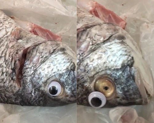 Mẹo xương m&aacute;u ph&acirc;n biệt c&aacute; tươi v&agrave; c&aacute; ươn, người b&aacute;n "cậy mồm" cũng kh&ocirc;ng n&oacute;i- Ảnh 1.