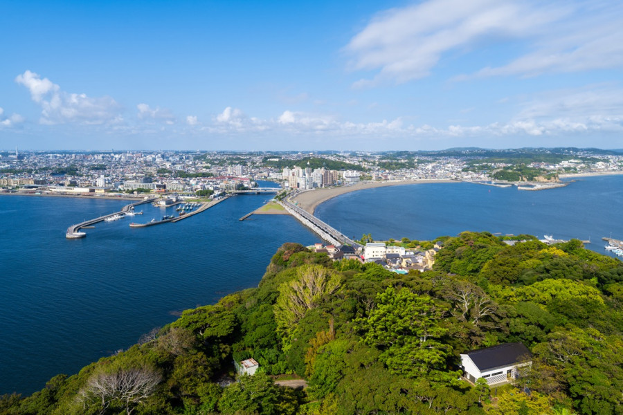 Người Nhật sở hữu 29.000km bờ biển nhưng vẫn nườm nượp sang Việt Nam t&igrave;m thứ qu&ecirc; nh&agrave; hiếm c&oacute;- Ảnh 1.