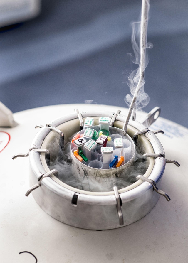 Nữ ca sĩ quyết định trữ đ&ocirc;ng trứng 2 lần khi mới ngo&agrave;i 20 tuổi: Nhiều phụ nữ ngo&agrave;i 30 mới thấy đ&acirc;y l&agrave; lựa chọn kh&ocirc;n ngoan- Ảnh 2.