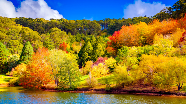 Quốc gia đ&atilde; bước v&agrave;o m&ugrave;a thu khi nửa thế giới đang ở m&ugrave;a xu&acirc;n: Sở hữu cộng đồng người Việt đ&ocirc;ng đảo- Ảnh 2.