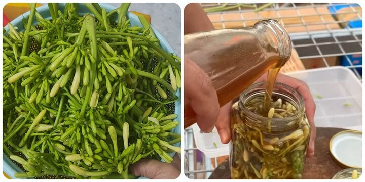 Lo&agrave;i hoa l&agrave; dược liệu quen thuộc trị ho cực tốt, những ai kh&ocirc;ng n&ecirc;n d&ugrave;ng?- Ảnh 2.
