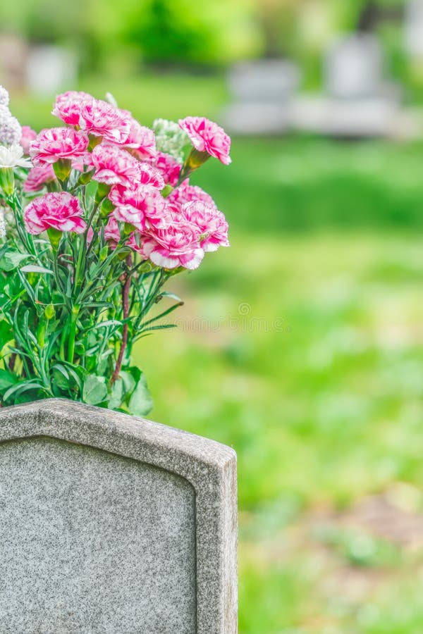 Ly h&ocirc;n rồi, nhiều phụ nữ trung ni&ecirc;n bắt đầu nghĩ đến một c&acirc;u hỏi: Sau n&agrave;y m&igrave;nh sẽ nằm ở đ&acirc;u?- Ảnh 1.