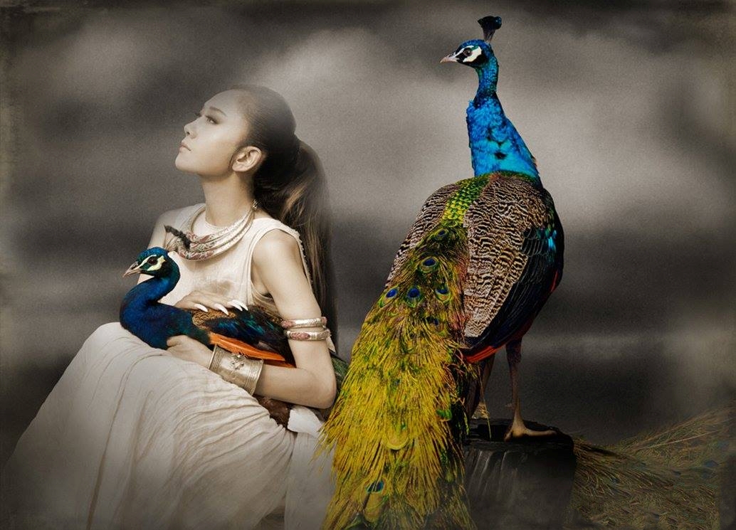 Cả MXH đang c&atilde;i nhau kịch liệt v&igrave; nhan sắc 68 tuổi của Dương Lệ B&igrave;nh- Ảnh 8.