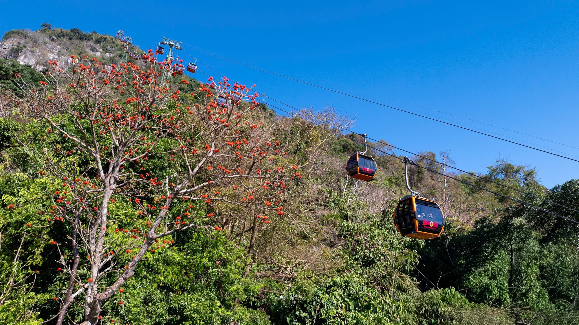 Th&aacute;ng 3, giới trẻ đổ về n&uacute;i B&agrave; Đen &ldquo;săn&rdquo; ảnh hoa v&ocirc;ng nem đỏ rực- Ảnh 5.