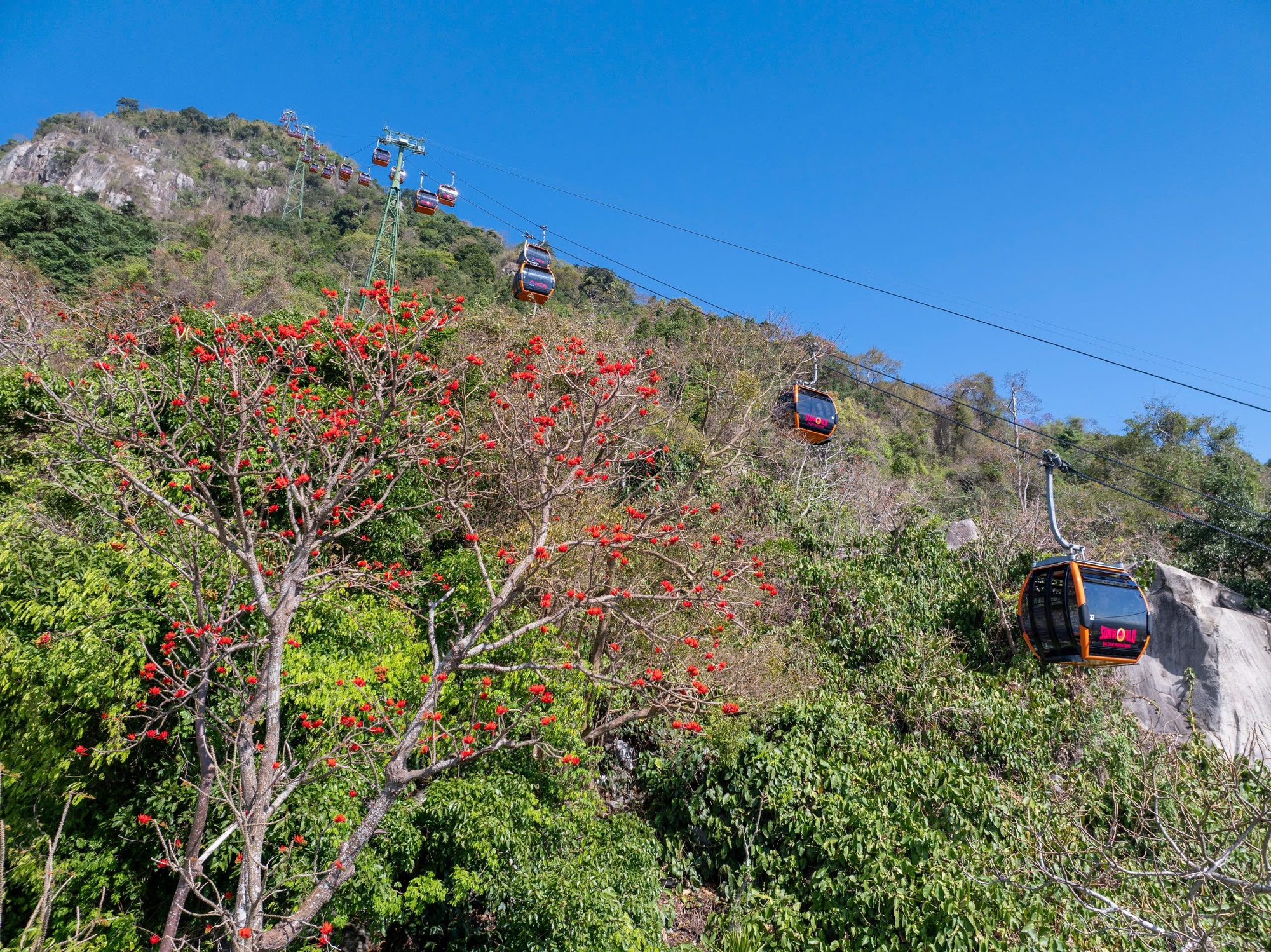 Th&aacute;ng 3, giới trẻ đổ về n&uacute;i B&agrave; Đen &ldquo;săn&rdquo; ảnh hoa v&ocirc;ng nem đỏ rực- Ảnh 4.
