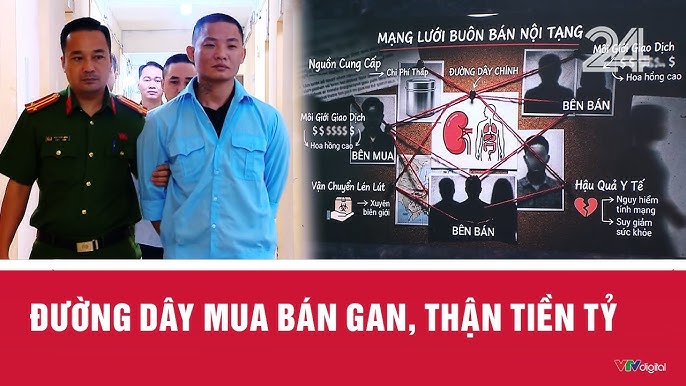 Ph&aacute;t hiện đường d&acirc;y m&ocirc;i giới nội tạng hoạt động tr&ecirc;n mạng: Bộ Y tế c&oacute; động th&aacute;i- Ảnh 1.