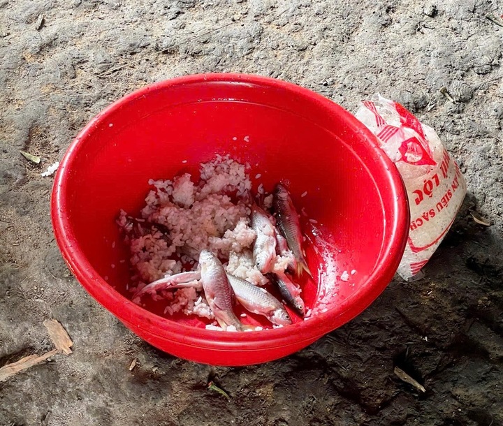 Ba trẻ ngộ độc sau khi ăn c&aacute; ủ chua: Sở Y tế Đ&agrave; Nẵng nhận thuốc giải độc từ WHO- Ảnh 1.