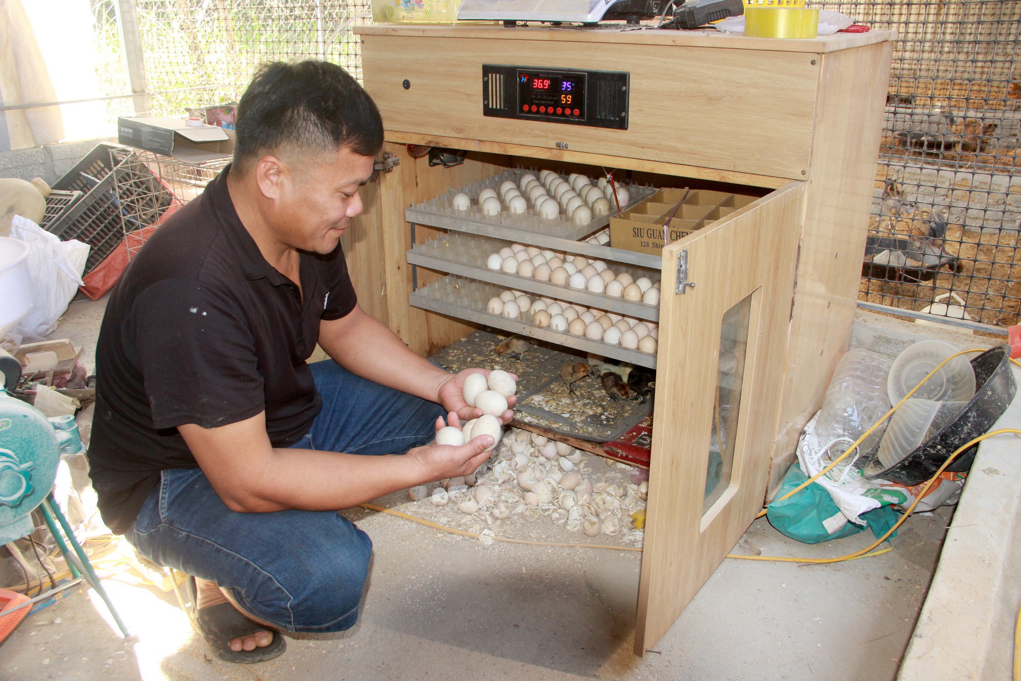 Nu&ocirc;i lo&agrave;i g&agrave; c&oacute; c&aacute;i t&ecirc;n &ldquo;đ&aacute;ng sợ&rdquo;, anh n&ocirc;ng d&acirc;n thu h&agrave;ng trăm triệu mỗi năm- Ảnh 2.