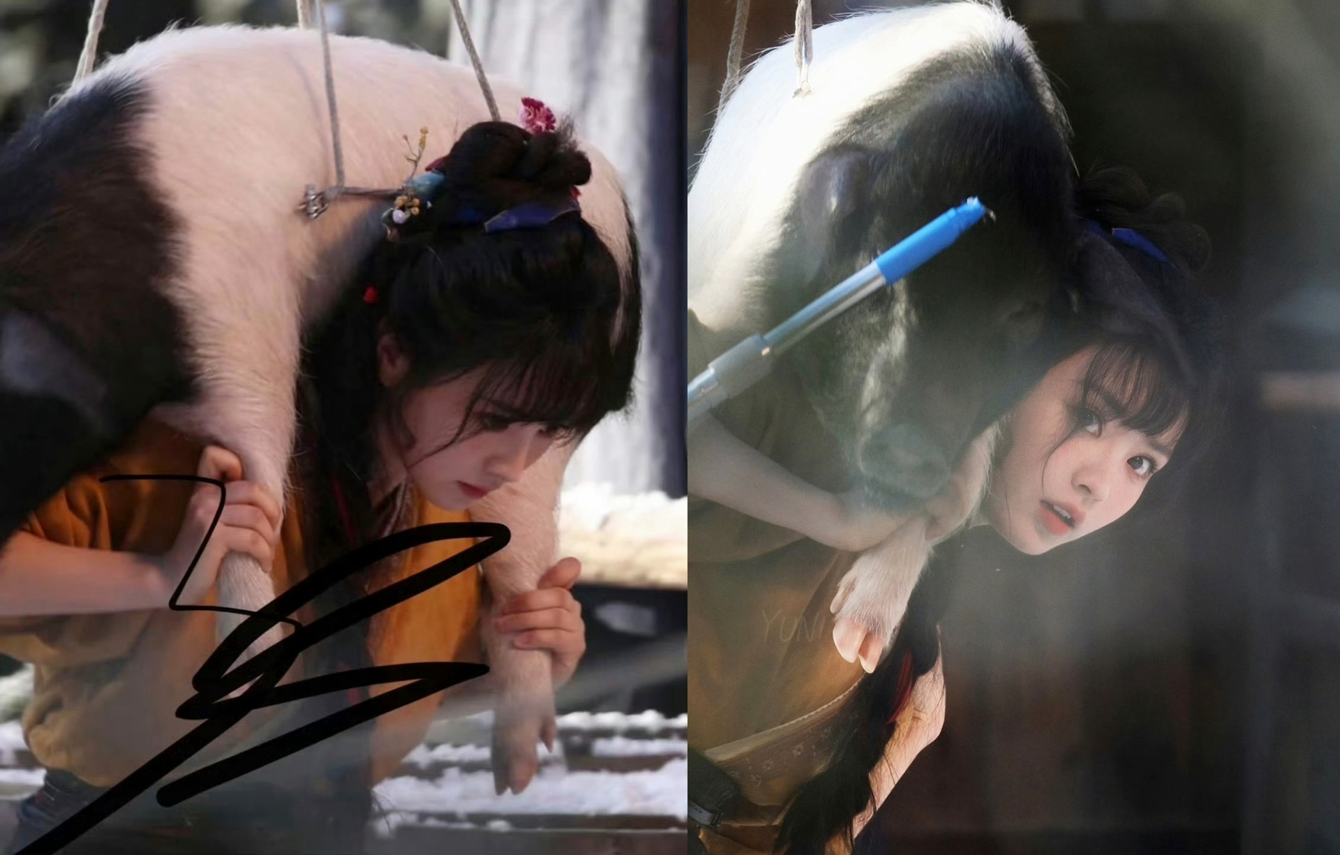 Mỹ nh&acirc;n chỉ nặng 45kg m&agrave; v&aacute;c cả con heo lẫn c&otilde;ng bạn diễn 1m90, mặt v&agrave; body chả li&ecirc;n quan g&igrave; đến nhau- Ảnh 1.