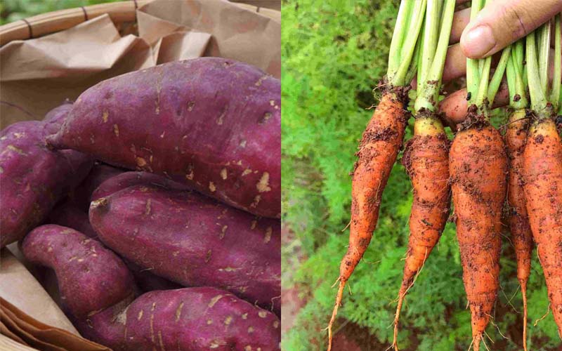 6 loại rau củ rẻ b&egrave;o gi&uacute;p bổ m&aacute;u, dưỡng da, "gi&agrave; chậm", k&iacute;ch th&iacute;ch mọc t&oacute;c con: Chợ Việt n&agrave;o cũng b&aacute;n- Ảnh 3.