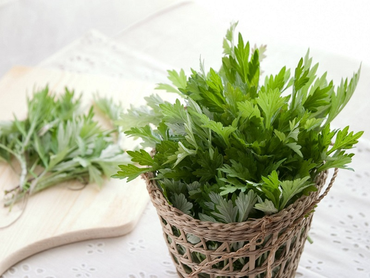 Ăn 1 nắm rau n&agrave;y tốt ngang thịt, xưa gọi rau nh&agrave; ngh&egrave;o nay v&iacute; như &ldquo;vua thảo mộc"- Ảnh 1.