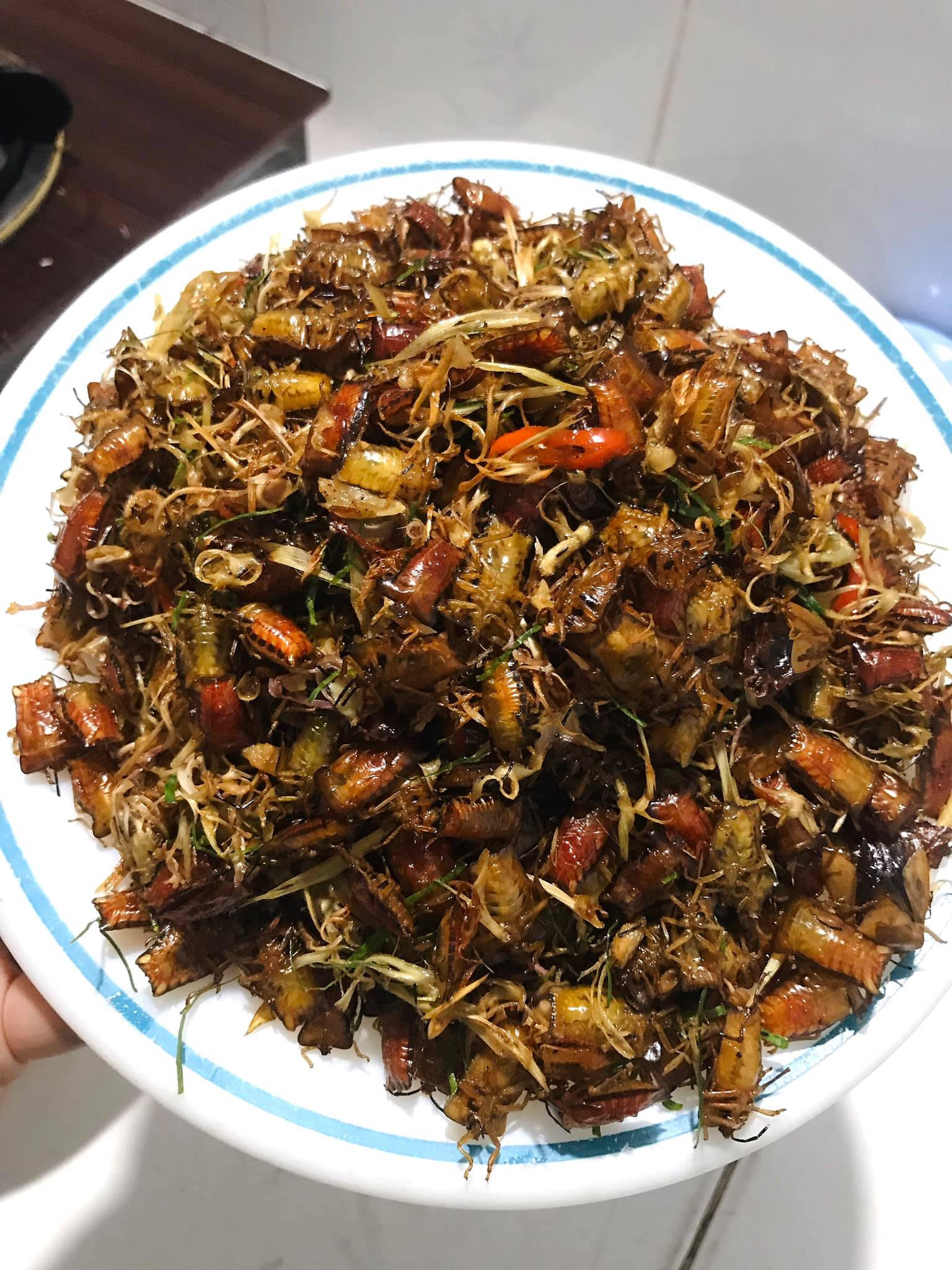 Con đặc sản xưa nhiều người &ldquo;sợ xanh mặt&rdquo;, nay th&agrave;nh đặc sản T&acirc;y Bắc tiền triệu, d&acirc;n nhậu m&ecirc; t&iacute;t săn l&ugrave;ng- Ảnh 7.