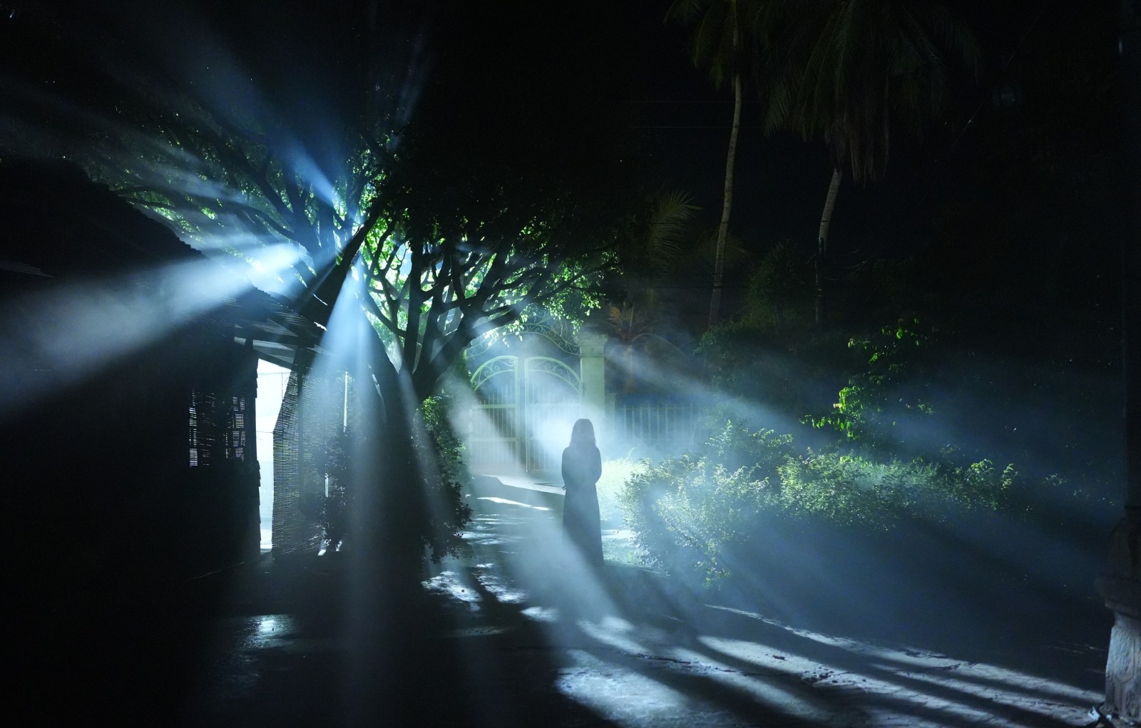 Người duy nhất trong d&agrave;n T&aacute;o Qu&acirc;n chưa c&oacute; danh hiệu NSƯT - NSND: Nếu c&oacute; kiếp sau, t&ocirc;i dứt kho&aacute;t kh&ocirc;ng l&agrave;m diễn vi&ecirc;n- Ảnh 3.