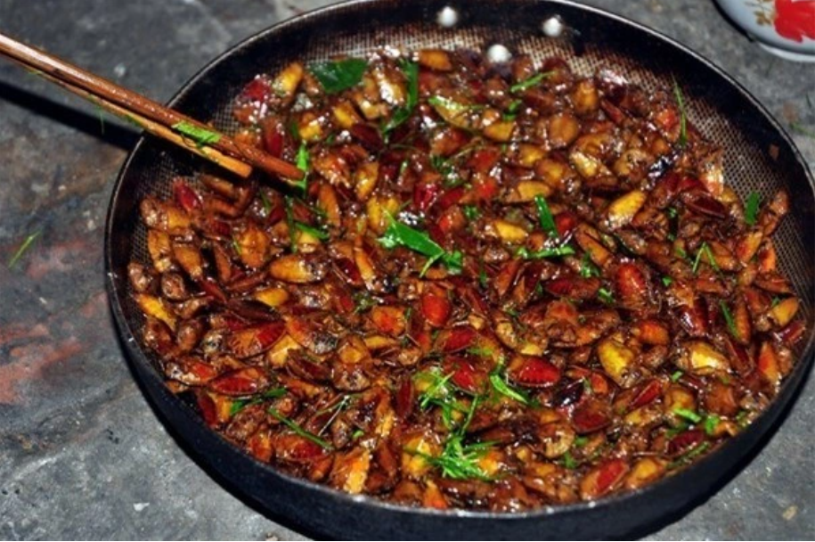 Con đặc sản xưa nhiều người &ldquo;sợ xanh mặt&rdquo;, nay th&agrave;nh đặc sản T&acirc;y Bắc tiền triệu, d&acirc;n nhậu m&ecirc; t&iacute;t săn l&ugrave;ng- Ảnh 2.