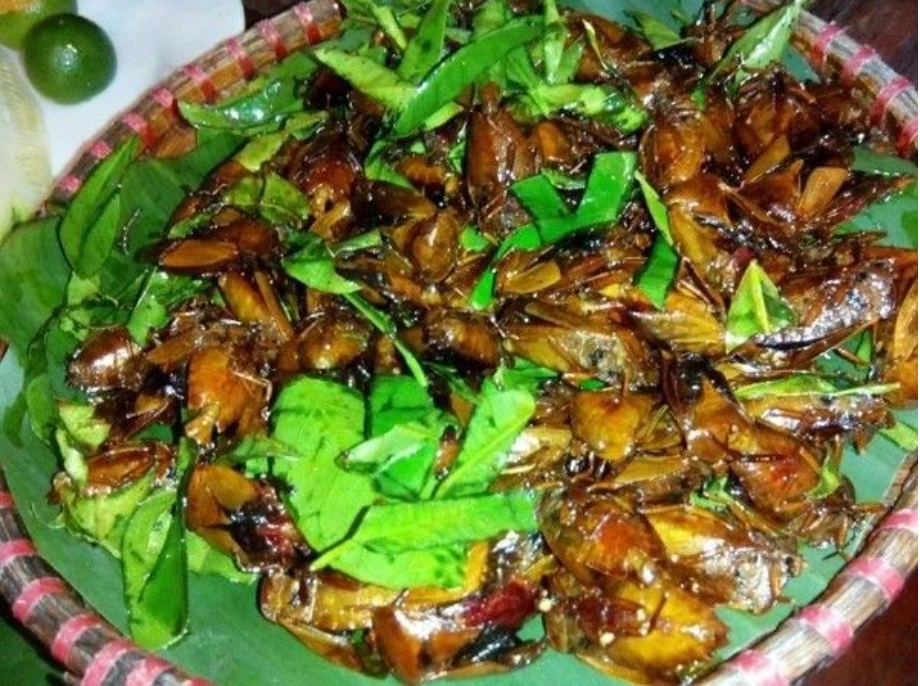 Con đặc sản xưa nhiều người &ldquo;sợ xanh mặt&rdquo;, nay th&agrave;nh đặc sản T&acirc;y Bắc tiền triệu, d&acirc;n nhậu m&ecirc; t&iacute;t săn l&ugrave;ng- Ảnh 1.