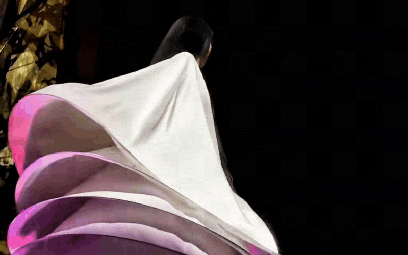 Kh&ocirc;ng chỉ c&oacute; "Chim c&ocirc;ng" Dương Lệ B&igrave;nh, mỹ nh&acirc;n n&agrave;y c&ograve;n khiến hội "tiền đ&igrave;nh" kinh h&atilde;i v&igrave; đứng xoay tr&ograve;n suốt 3 tiếng: Profile đỉnh ch&oacute;p cỡ n&agrave;o?- Ảnh 2.