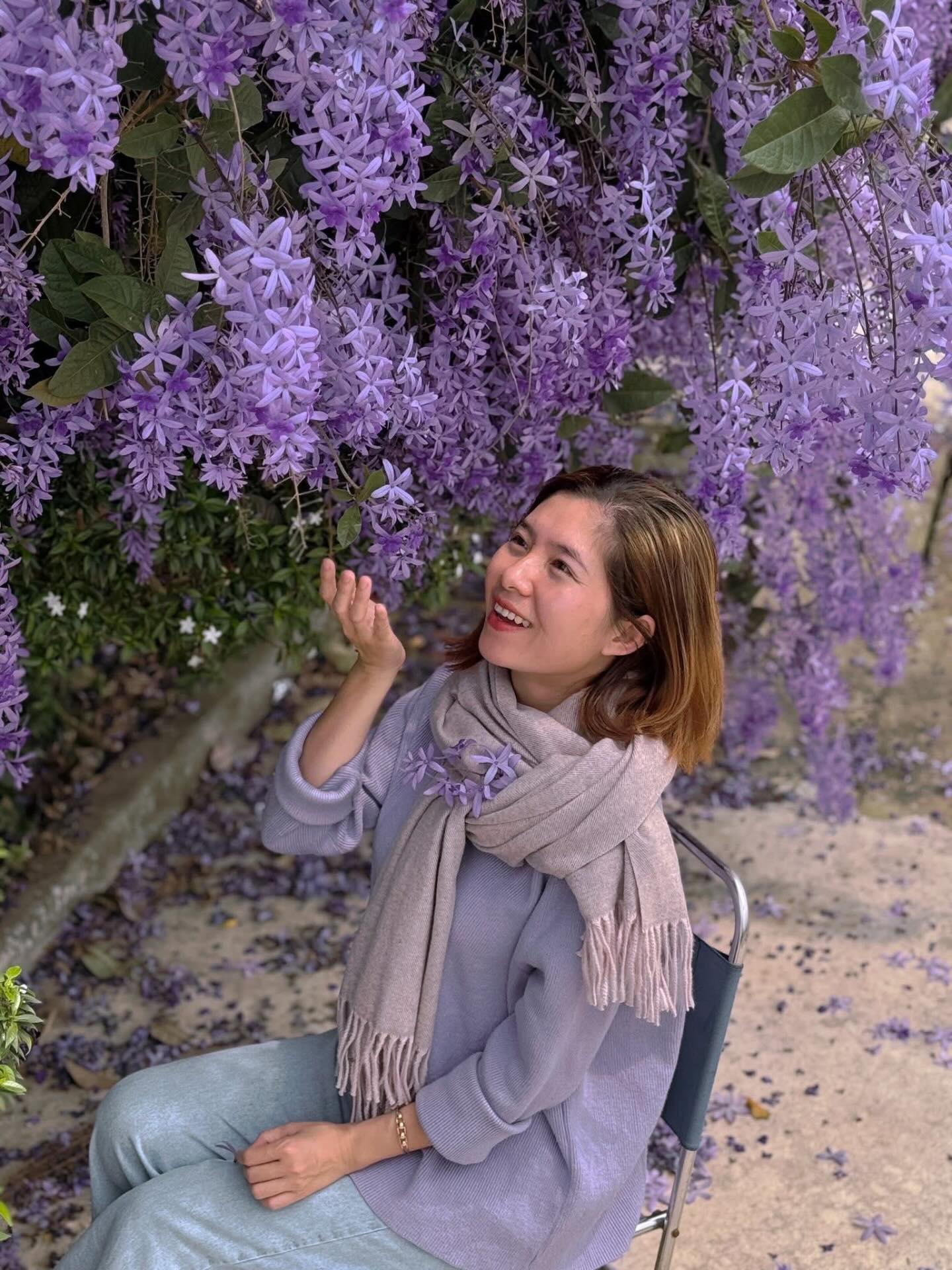 Kh&ocirc;ng phải hoa sưa, cũng chẳng phải hoa ban trắng, tọa độ check in hoa mai xanh Th&aacute;i đang được d&acirc;n t&igrave;nh m&ecirc; đắm- Ảnh 16.