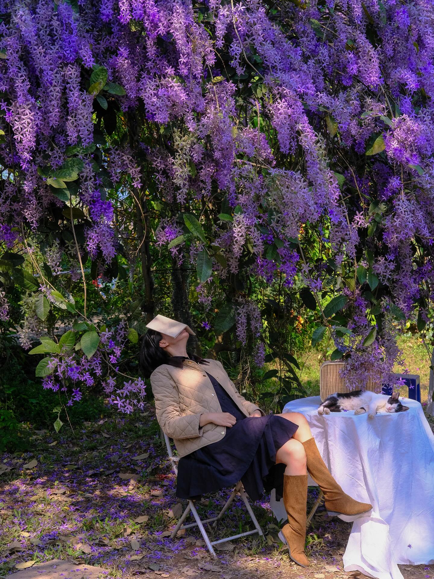 Kh&ocirc;ng phải hoa sưa, cũng chẳng phải hoa ban trắng, tọa độ check in hoa mai xanh Th&aacute;i đang được d&acirc;n t&igrave;nh m&ecirc; đắm- Ảnh 8.